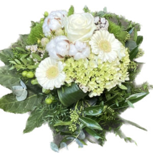 Blumen Nicolaye - Alpaka