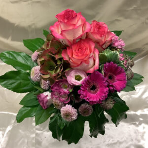 Blumen Nicolaye - Pinkasso