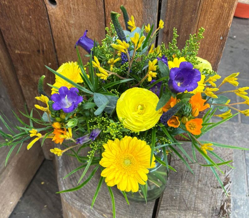 Blumen Nicolaye - Sunrise